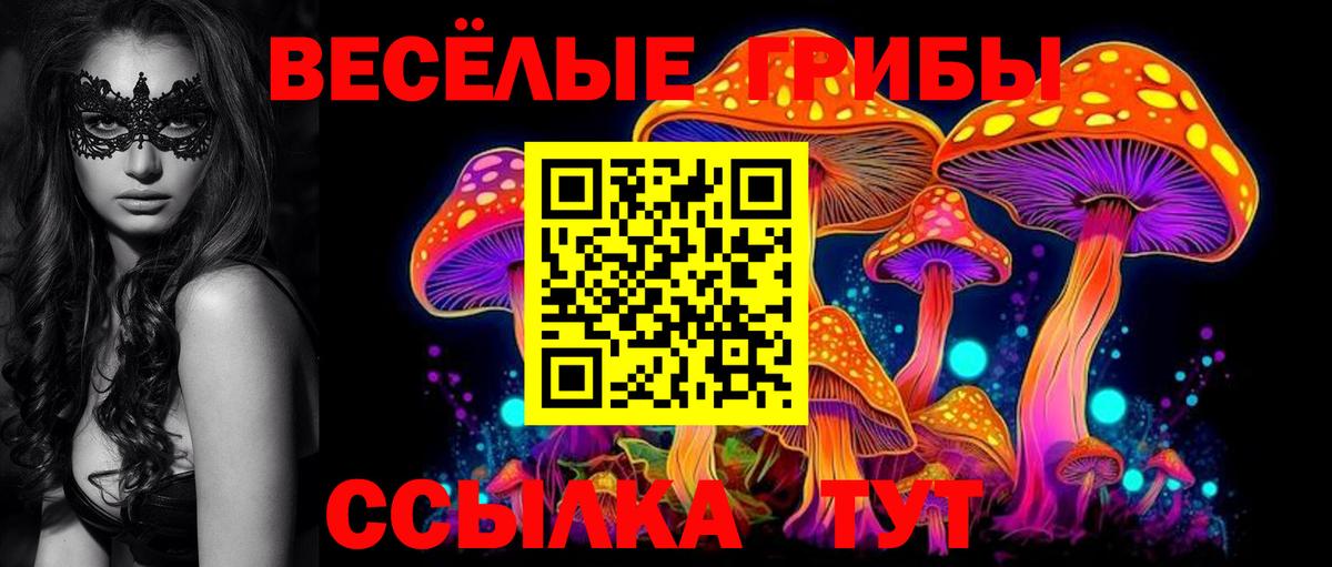 Псилоцибиновые грибы прущие грибы Острогожск